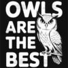 Owls Are the Best Graphic T Shirt Design